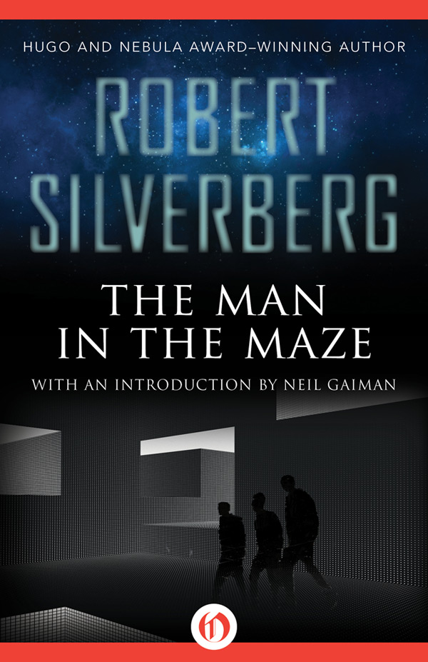 The Man in the Maze